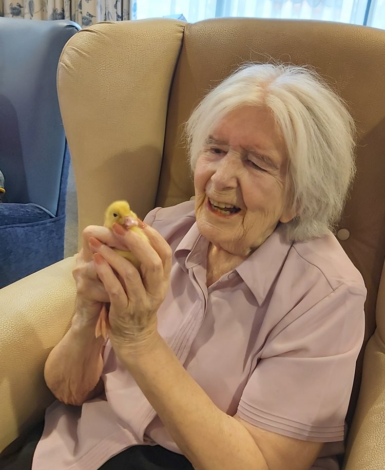 Egg-citing times at Harrow care home